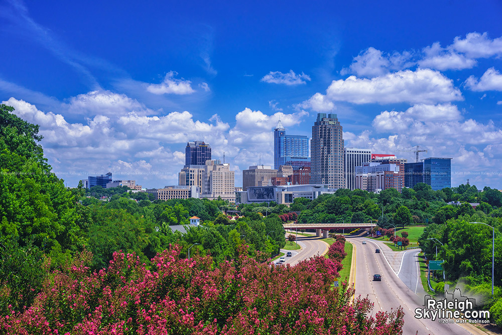 Downtown Raleigh Skyline with Crepe Myrtles Summer 2018