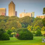 Dorothea Dix Skyline with distant sunflowers