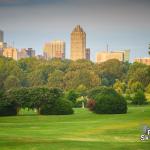 Dorothea Dix Skyline with distant sunflowers