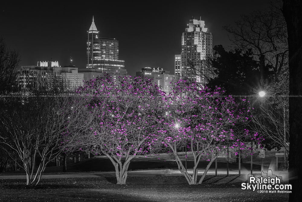 Black and white and pink downtown Raleigh at night