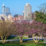 Spring at Dix Park