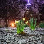 Spring snow from Nash Square