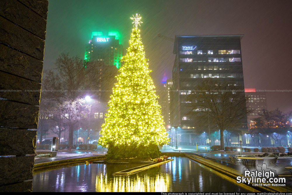 City of Raleigh Christmas Tree in the Snow