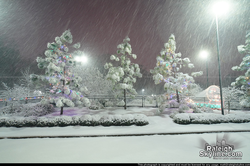 Pullen Park in the snow at night