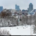 Dix Hill Sledders