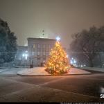 North Carolina State Capitol Christmas Tree in the Snow 12/09/18