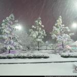 Pullen Park in the snow at night