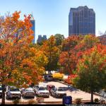 Fall colors near the NC Museums