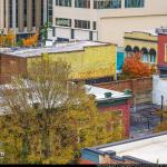 Rooftop Colors