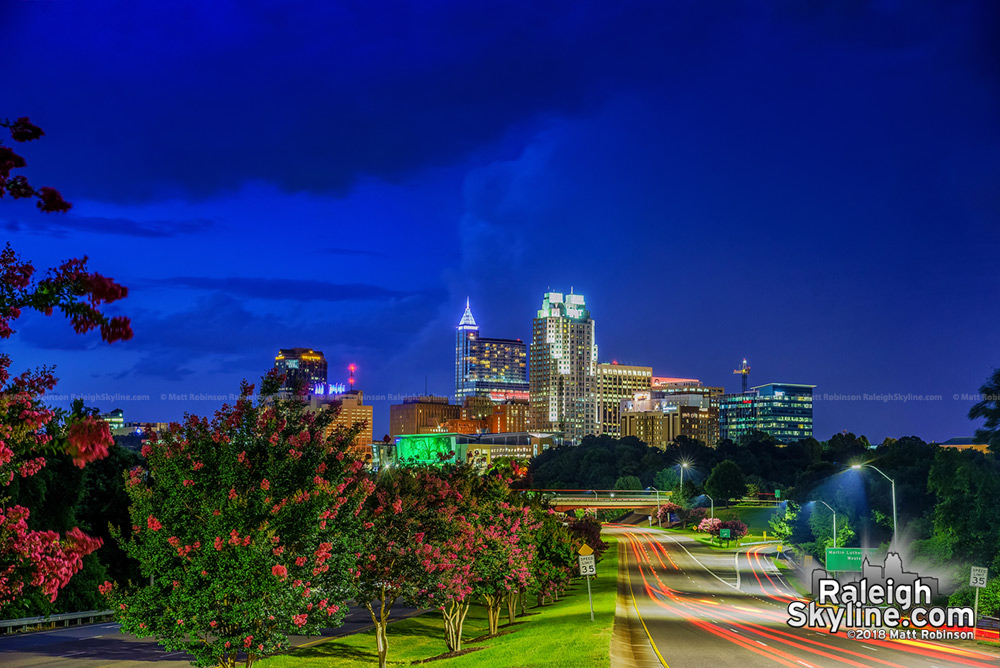 Crepe Myrtles in early bloom with downtown Raleigh skyline at night