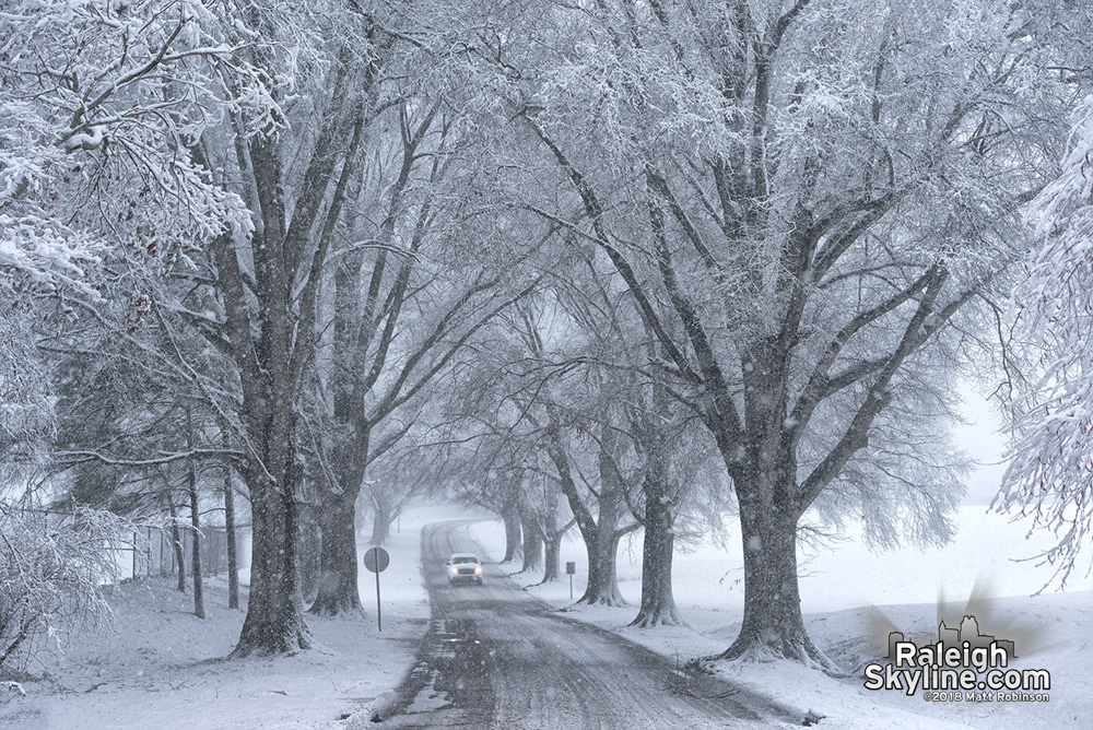 Snowy Oaks at Dix