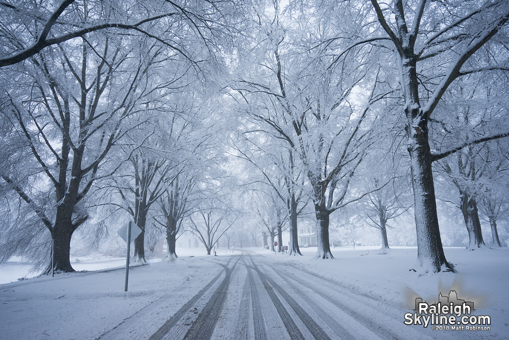 Snowy Oaks at Dix