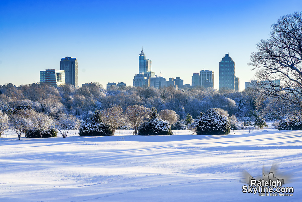 Raleigh skyline with snow 2018