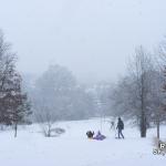 First sledders arrive at Dix