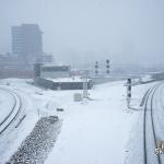 Raleigh vanished in the snow from Boylan Ave