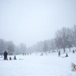 Winter wonderland at Dix Hill with sledders