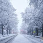 Snowy scene on Hillsborough Street in Raleigh