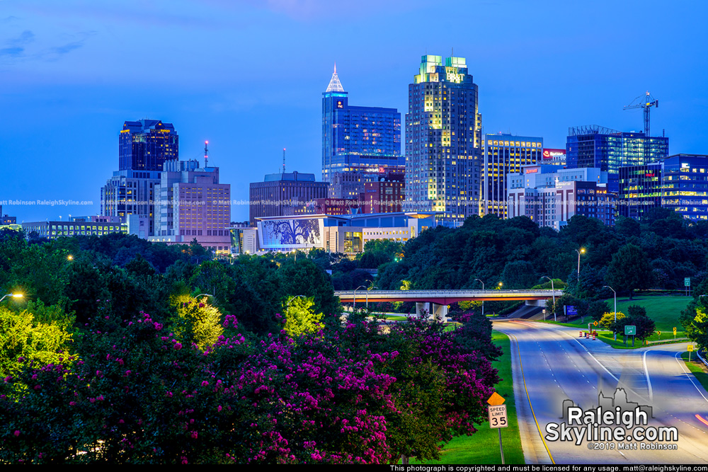 High above the Crepe Myrtles at night with Raleigh