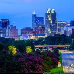 High above the Crepe Myrtles at night with Raleigh