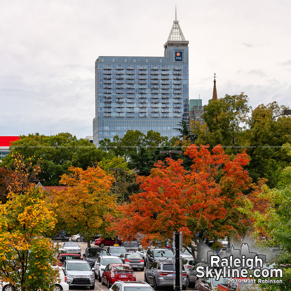 Early fall colors in Raleigh