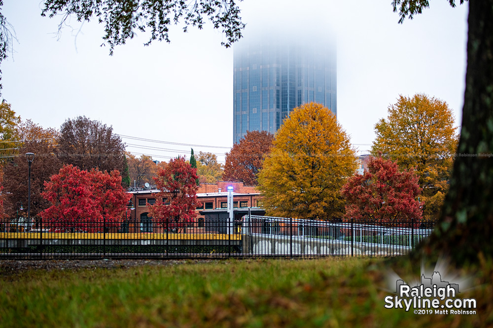 Foggy Raleigh with Fall leaves