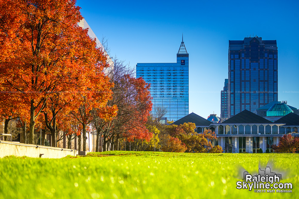 Bright fall colors along Halifax Mall with downtown Raleigh