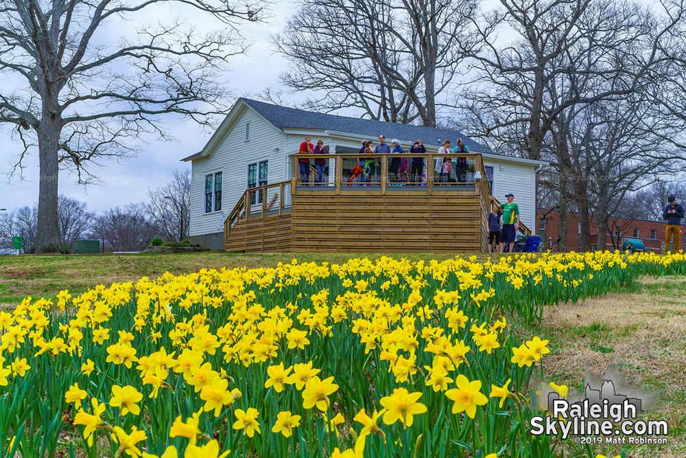 Flower Cottage at Dix with daffodils 