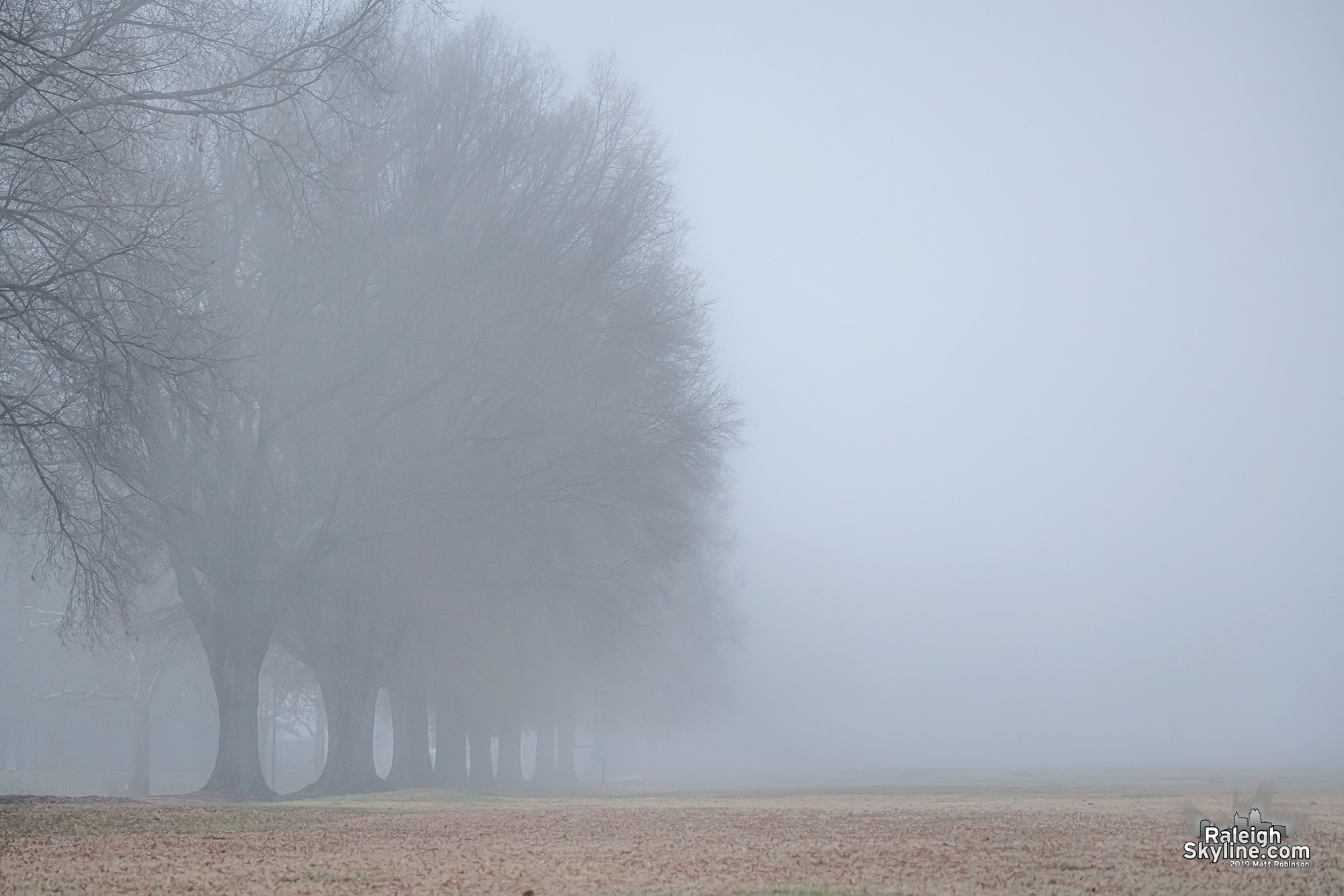 Foggy Dorothea Dix