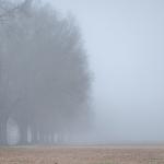 Foggy Dorothea Dix