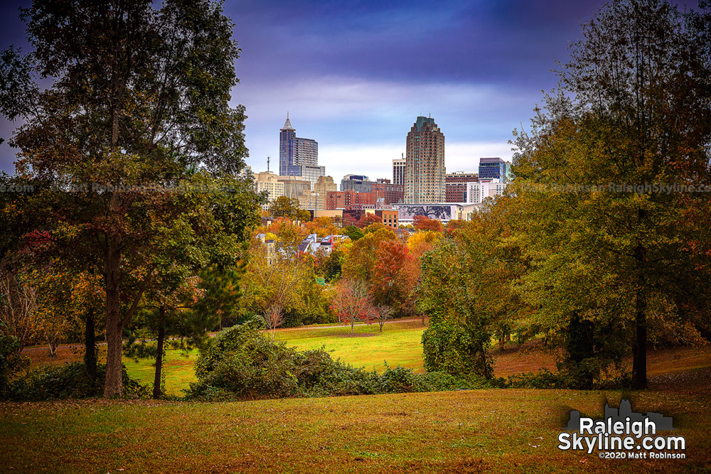 Fall colors in Raleigh 2020