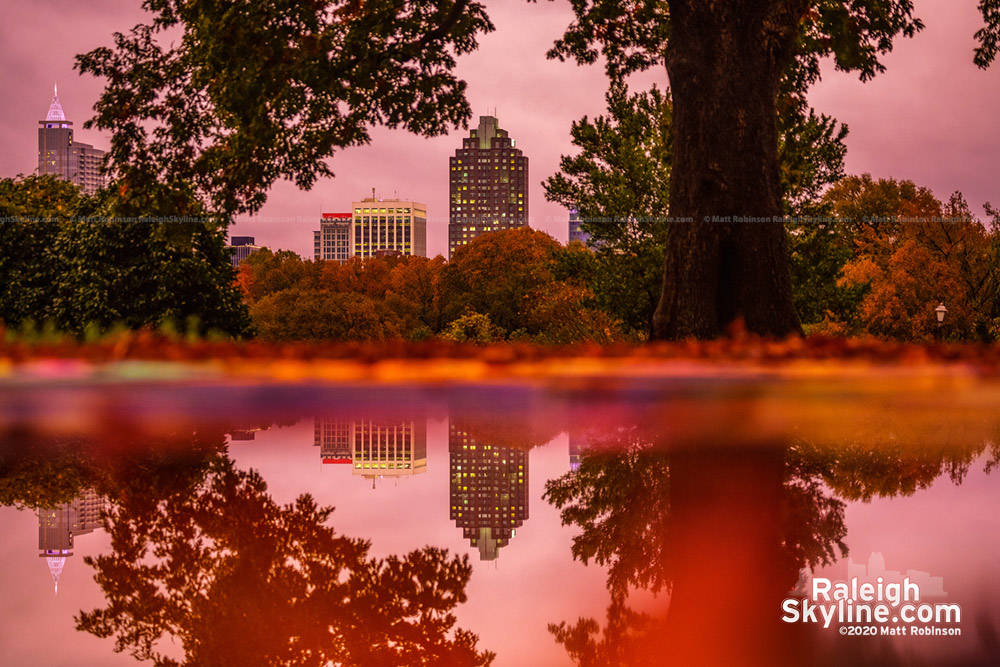 Downtown Raleigh reflects in a rain puddle tonight as the overcast sky turned pink, giving the fall colors a boost at sundown.