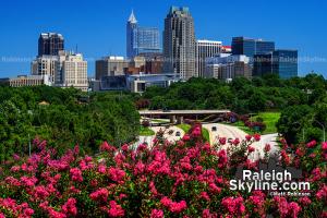 Raleigh Skyline Summer Recap 2020