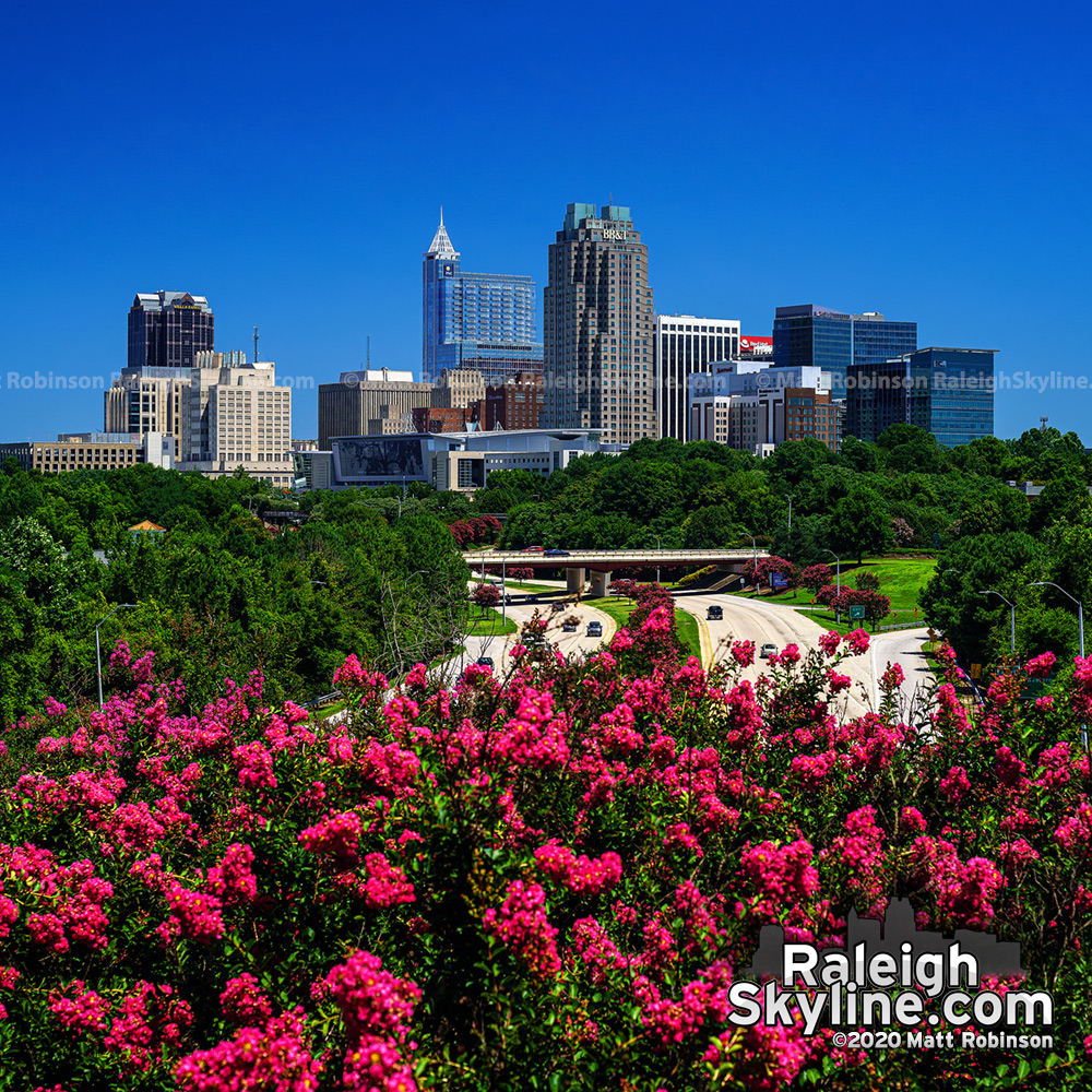 Every year about mid-July, I wait for a clear day while the Crape myrtle trees are blooming to get the "classic" daytime shot of downtown Raleigh for the year. I use my 24-foot tall tripod to raise the camera above the bright blooms to get a perspective you can't see from the ground.