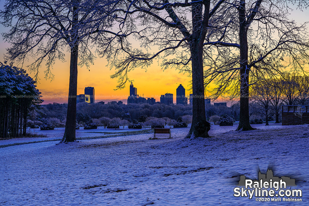 Snowy trees at sunrise with downtown Raleigh