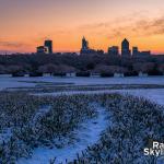 Snow covered daffoldills at Dix Park on February 21, 2020