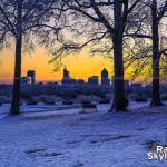 Snowy trees at sunrise with downtown Raleigh