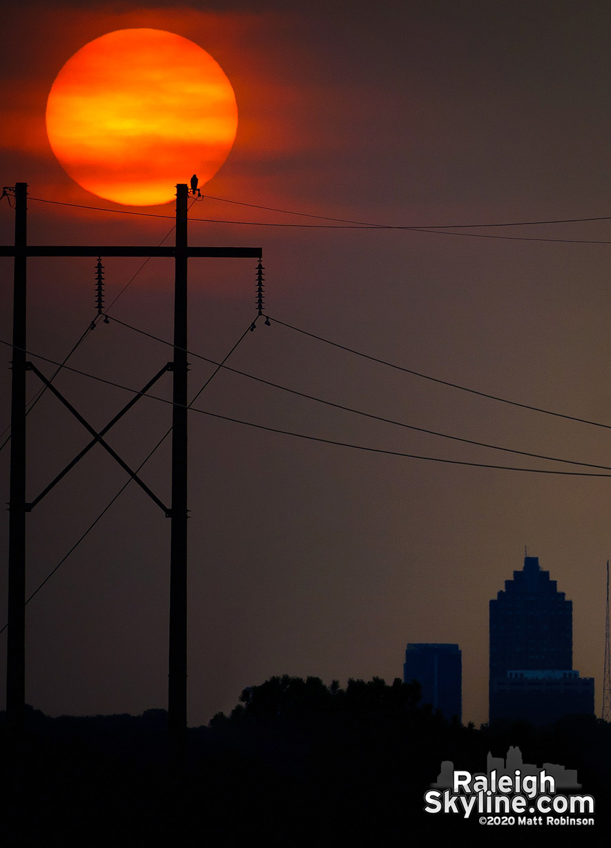 Sunset in Raleigh filtered by smoke from the West coast wild fires, the cloud shield from Hurricane Sally in the Gulf and a red tailed hawk on the power lines.