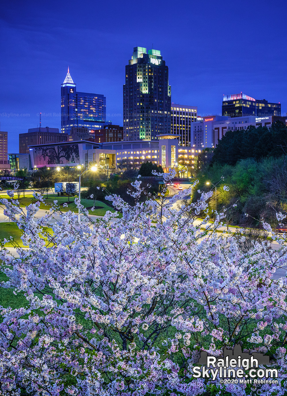 Blooming cherry blossoms provide a bright spot in Raleigh