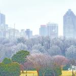 Ice glazed trees with downtown Raleigh winter 2021