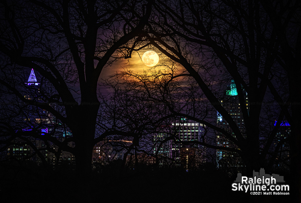 Full moon rising through the trees with the Raleigh Skyline