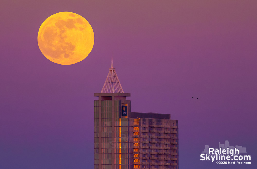 Moon rising through the Belt of Venus with PNC Plaza