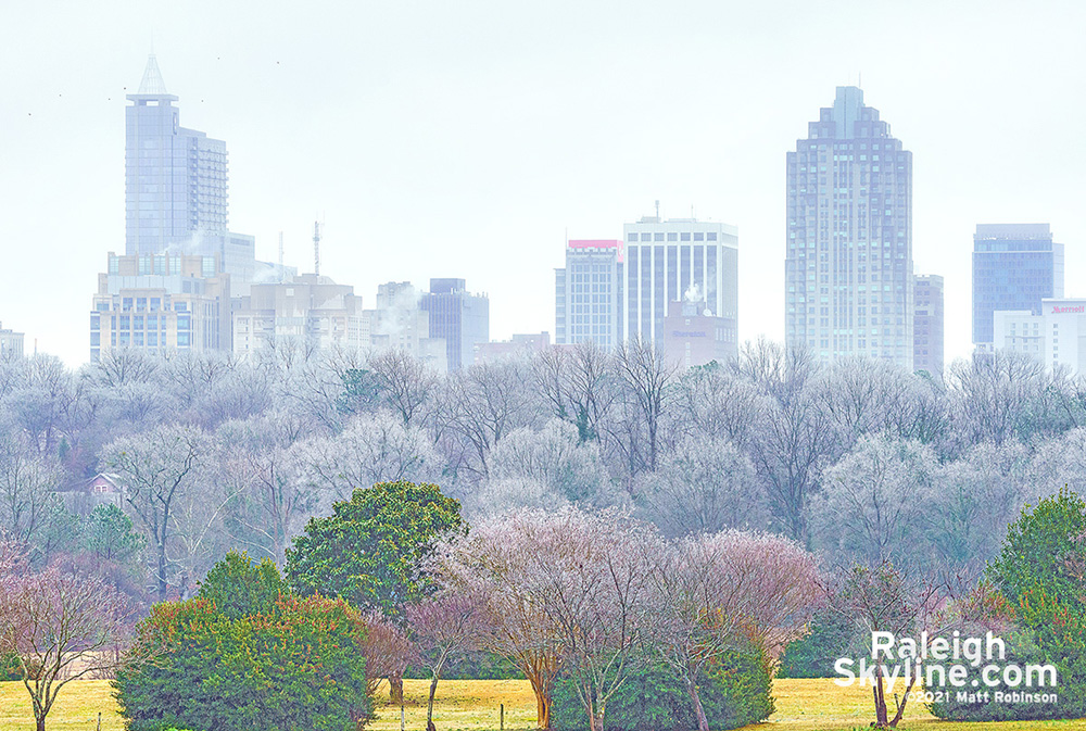 Ice glazed trees with downtown Raleigh winter 2021