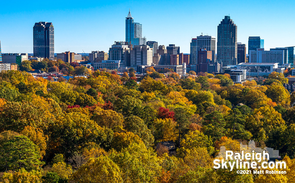 Autumn trees with downtown Raleigh