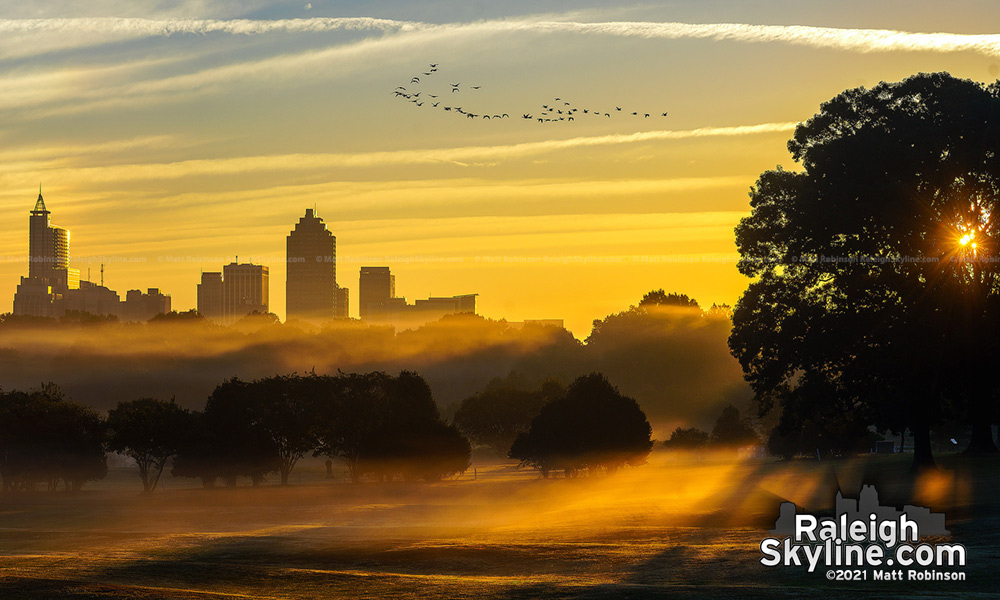 A flock of Canada geese fly over the misty ground fog in this morning Raleigh sunrise scene.