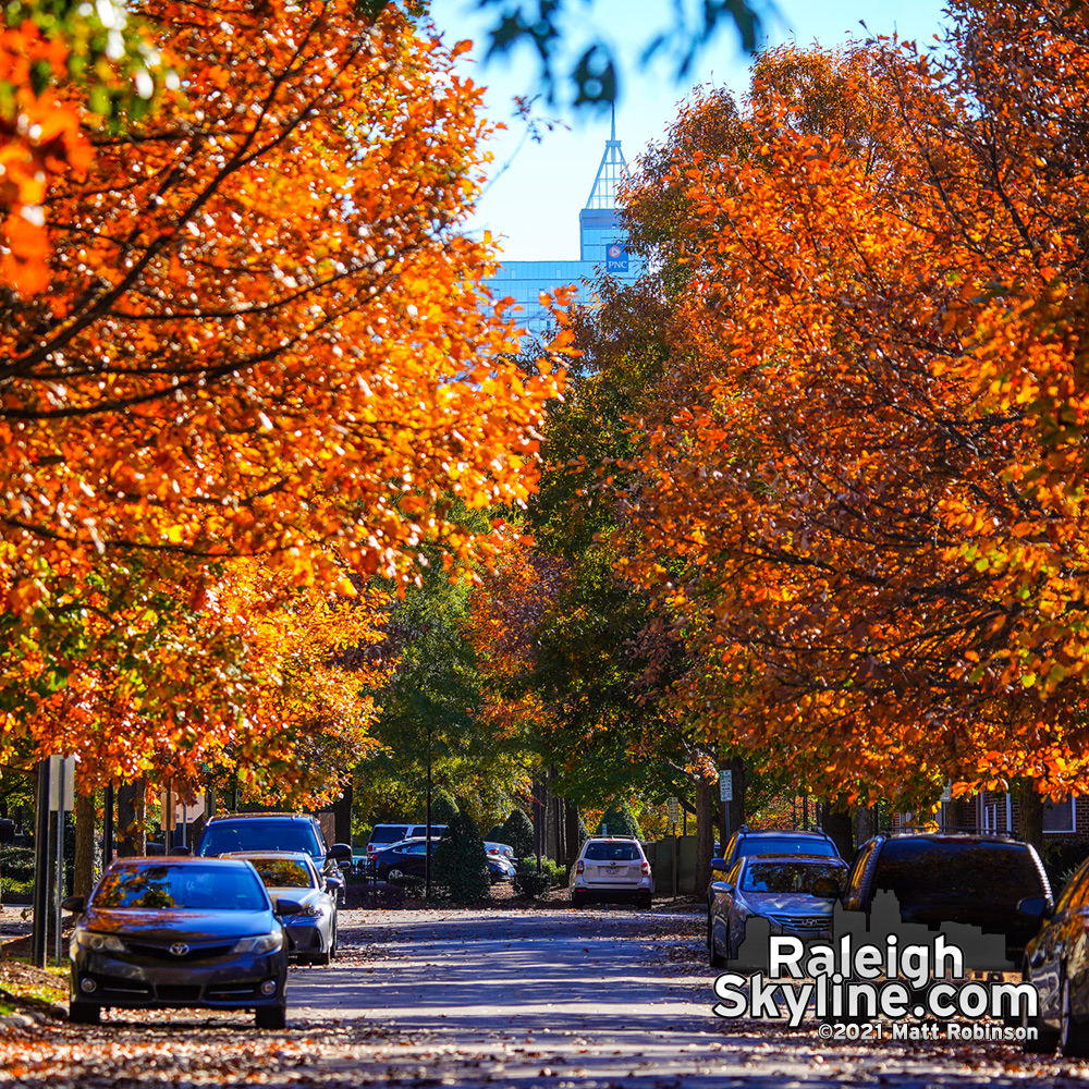 Fall colors near Pilot Mill
