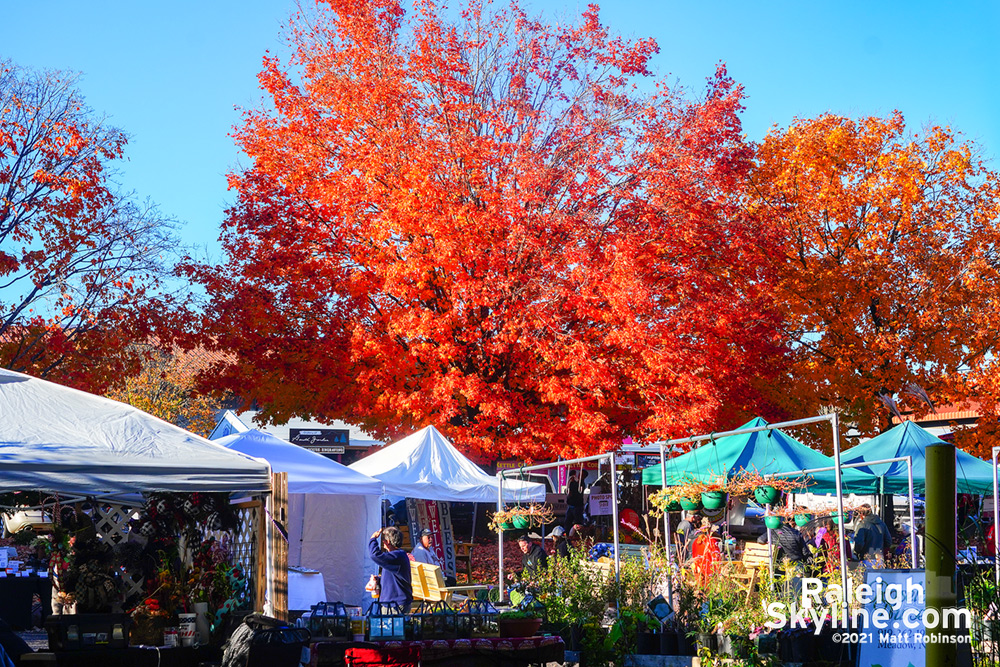 Fall colors at the NC State Farmers Market