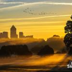 A flock of Canada geese fly over the misty ground fog in this morning Raleigh sunrise scene.