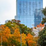 PNC Plaza with Fall Colors 