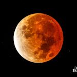 The red moon during the Lunar Eclipse of November 19, 2021