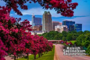 Postcards of Raleigh Summer 2021